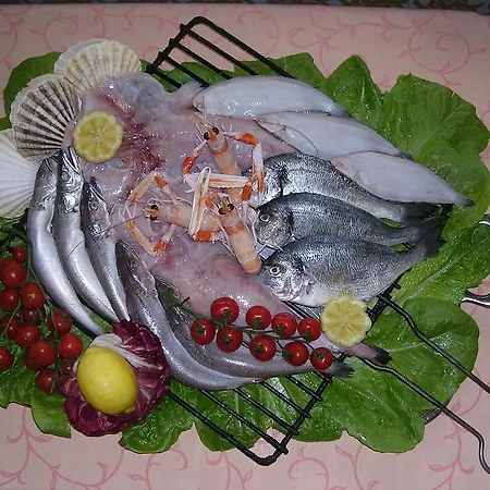 Tenda Falconara Marittima